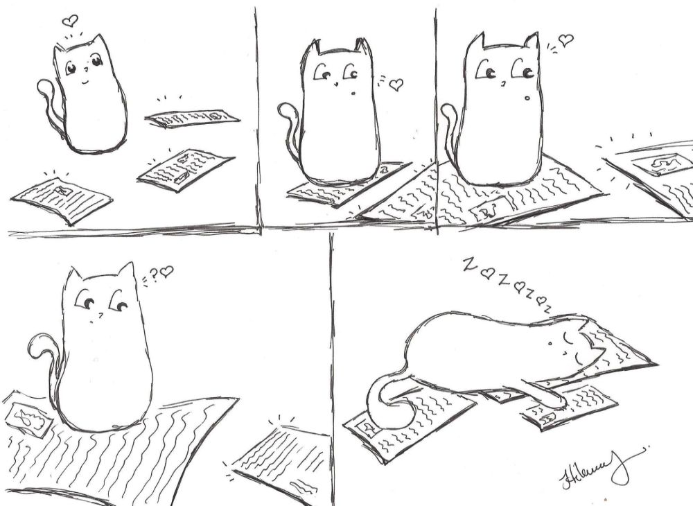 Cats and Paper, yeah you understand…